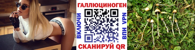Псилоцибиновые грибы Cubensis  Купить закладки  Моздок 